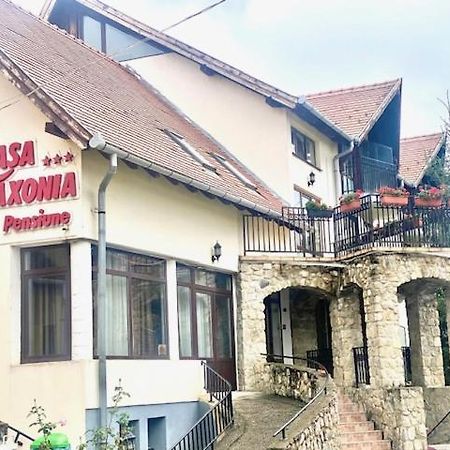 Pensiunea Casa Saxonia Rîşnov 外观 照片