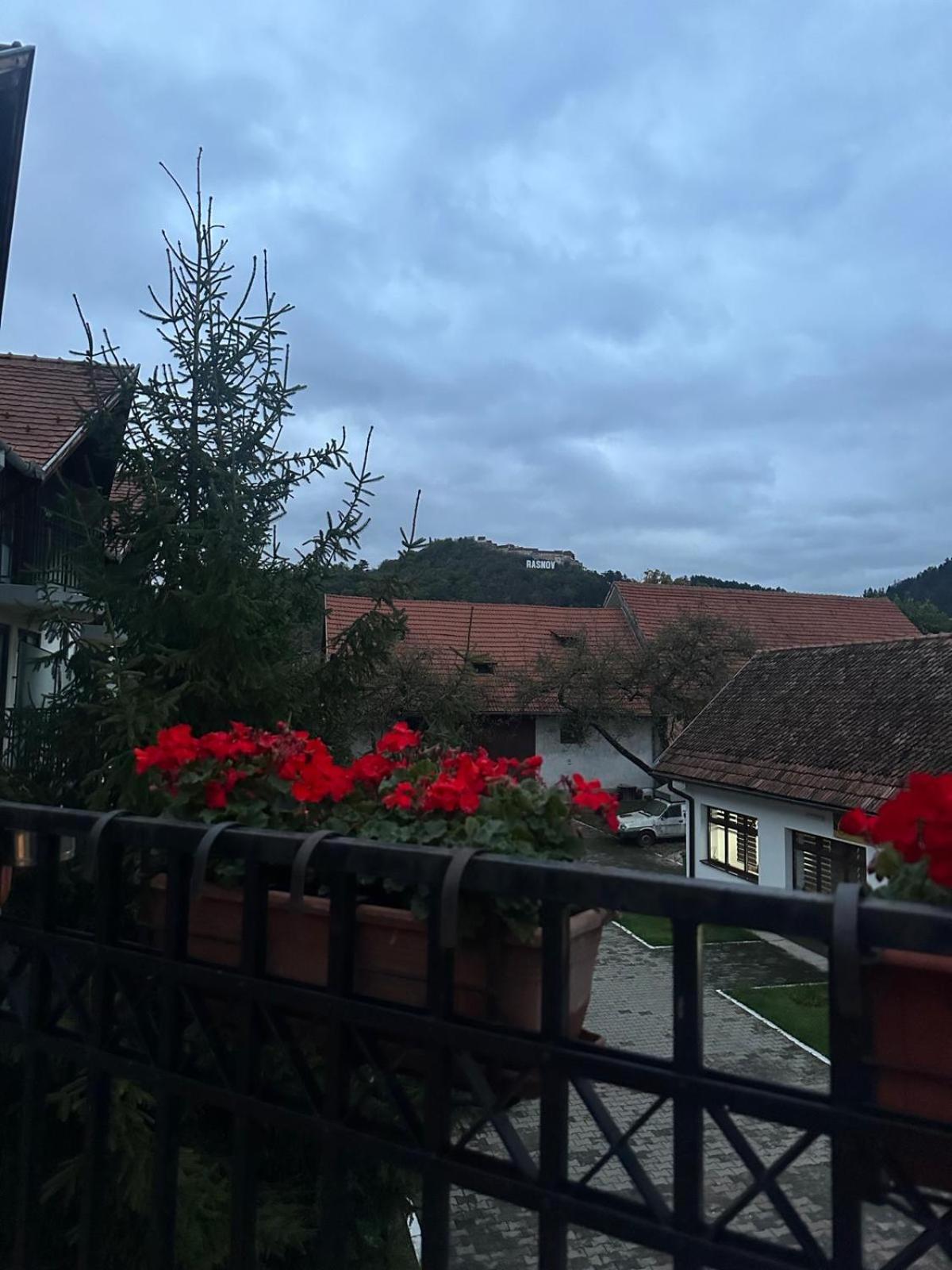 Pensiunea Casa Saxonia Rîşnov 外观 照片