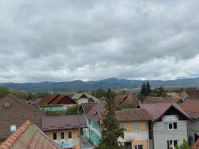 Pensiunea Casa Saxonia Rîşnov 外观 照片