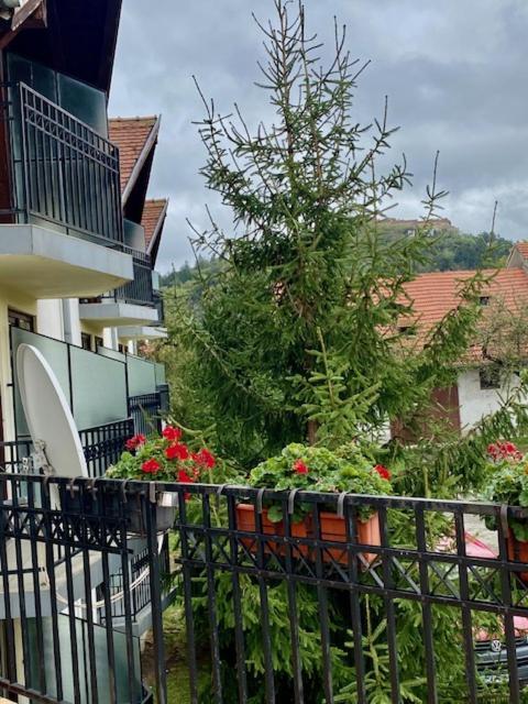 Pensiunea Casa Saxonia Rîşnov 外观 照片