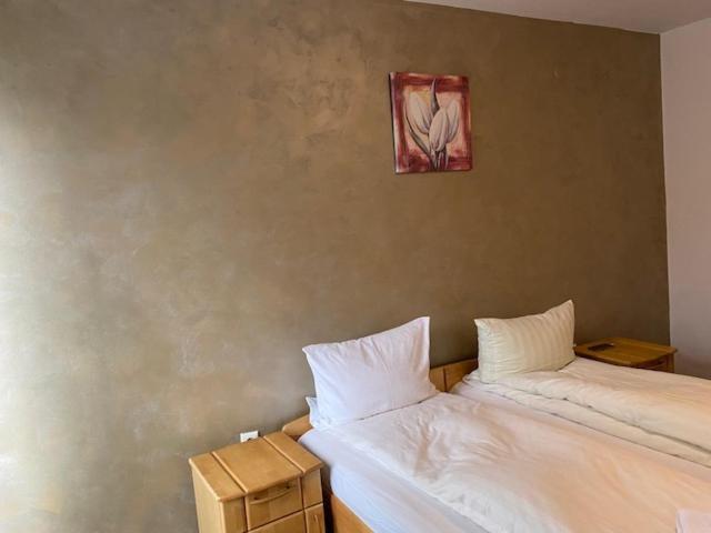 Pensiunea Casa Saxonia Rîşnov 外观 照片