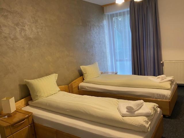 Pensiunea Casa Saxonia Rîşnov 外观 照片